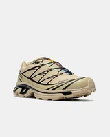 Salomon XT-6 Beige GT — головне фото товару