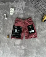 Шорти Stone Island — головне фото товару