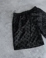 Шорти Louis Vuitton — головне фото товару
