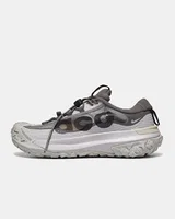 Nike ACG Mountain Fly Low 2 'Light Iron Ore' — головне фото товару
