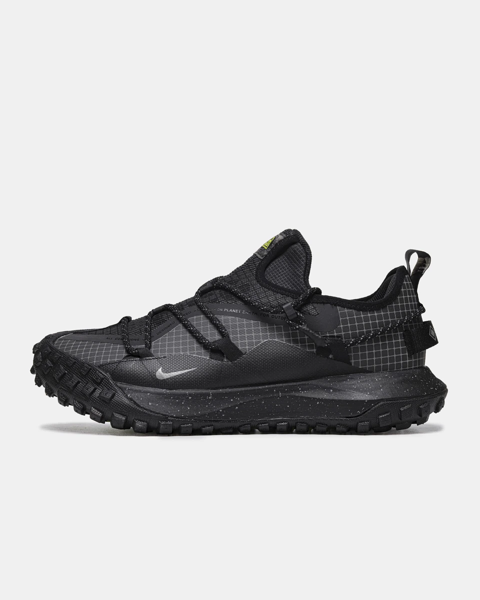 Nike ACG Mountain Fly Low GTX SE 'Dark Smoke Grey' — головне фото товару