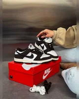 Nike Dunk SB Dunk Brown/White — головне фото товару