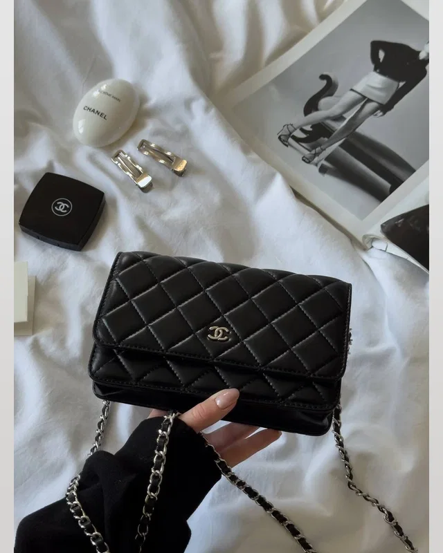 Chanel Classic Wallet on Chain Quilted Black/Silver Магнітна Коробка(Копія) 19.5 х 13 х 4 см — головне фото товару