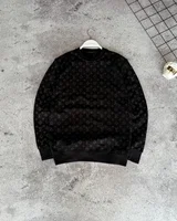 Світшот Louis Vuitton — головне фото товару