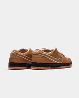 Nike Sb Dunk Low Concepts X Orange Lobster — головне фото товару
